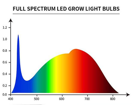 Фитосветильник 25 ватт, растительный спектр, цоколь E27