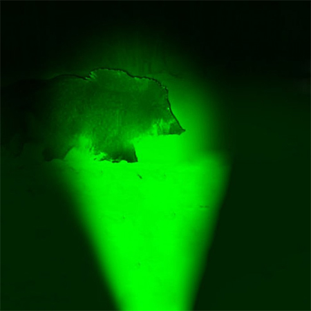 Охотничий зелёный фонарь WF-502b, 1 ватт, 560 нм